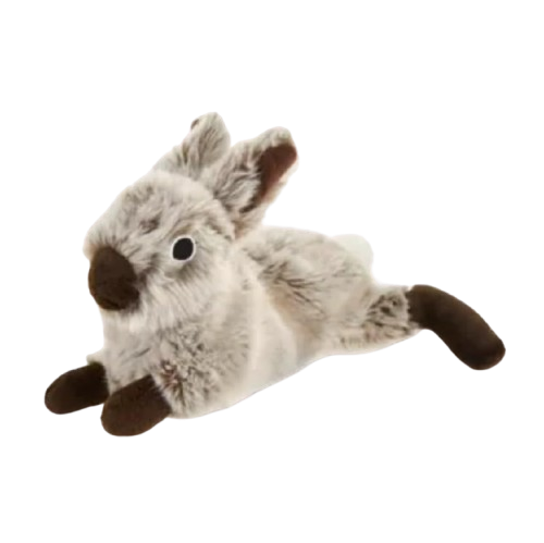 Crazy Comfy Realistic Rabbit Flattie Dog Toy